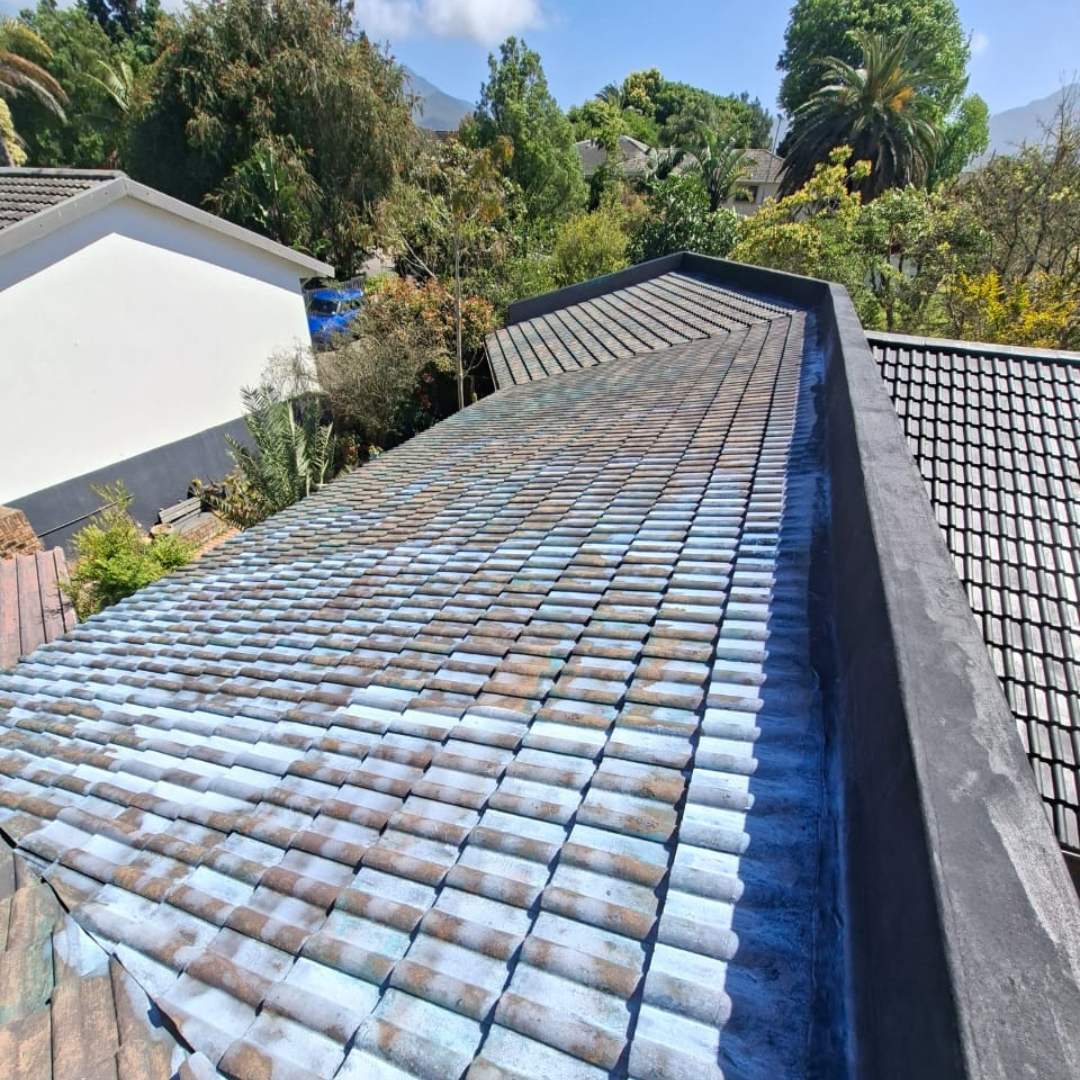 Untitled design - 2025-12-09T112335.411